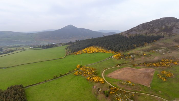 A photo of farmland in Ireland, with a small patch of forest visible in the background